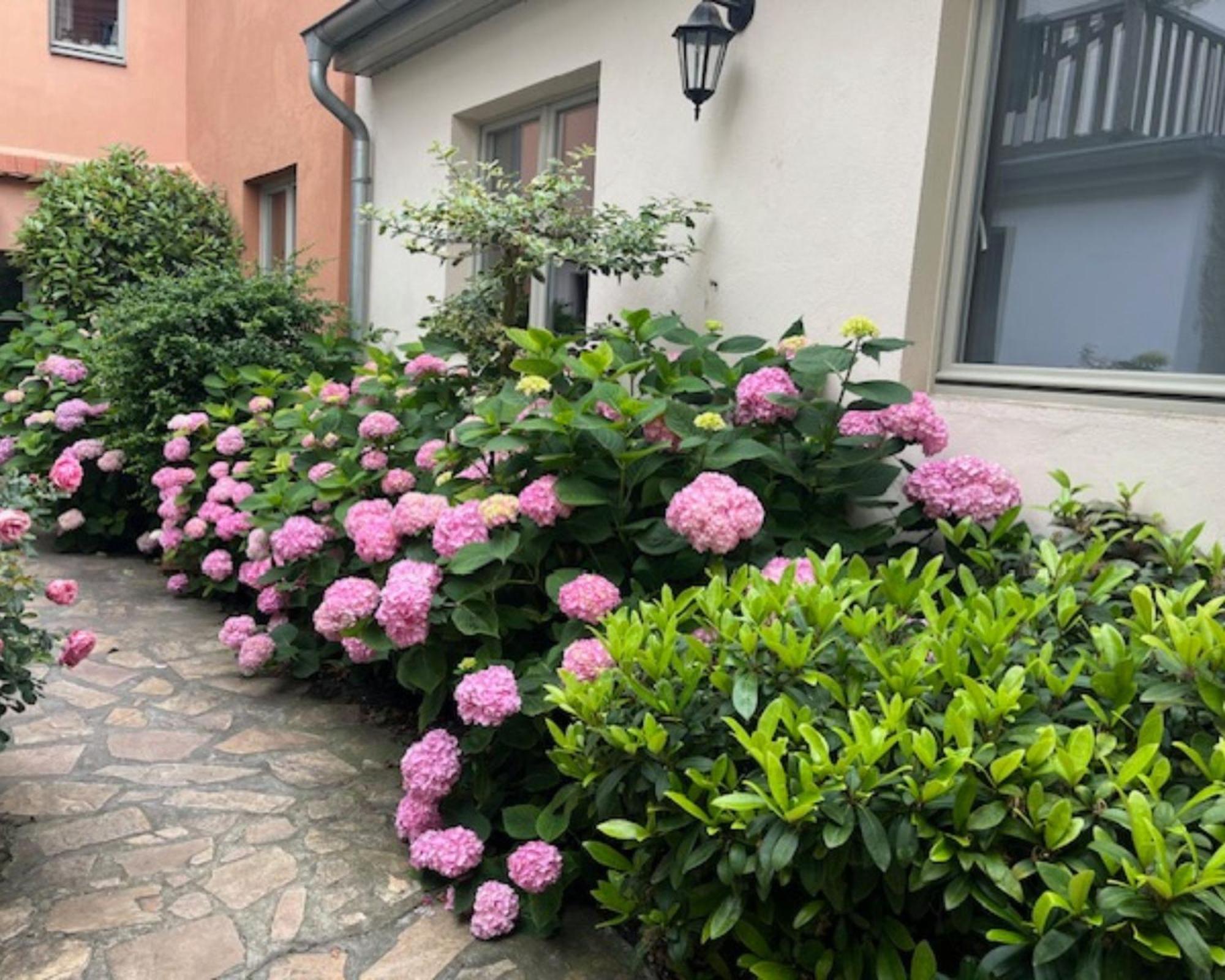 Altstadt-Quartier Stendal Ngoại thất bức ảnh